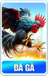 thẻ game đá gà c168
